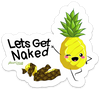 LETS GET NAKED PUN STICKER – ONE 4 INCH WATER PROOF VINYL STICKER – FOR HYDRO FLASK, SKATEBOARD, LAPTOP, PLANNER, CAR, COLLECTING, GIFTING