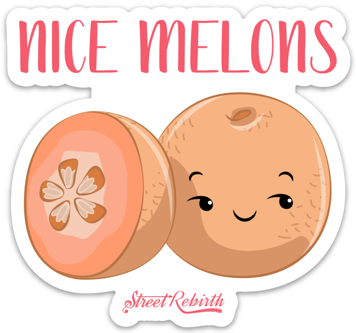 NICE MELONS PUN STICKER – ONE 4 INCH WATER PROOF VINYL STICKER – FOR HYDRO FLASK, SKATEBOARD, LAPTOP, PLANNER, CAR, COLLECTING, GIFTING