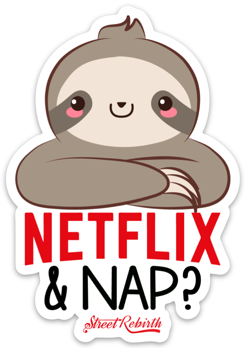 NETFLIX & NAP? PUN STICKER – ONE 4 INCH WATER PROOF VINYL STICKER – FOR HYDRO FLASK, SKATEBOARD, LAPTOP, PLANNER, CAR, COLLECTING, GIFTING