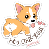 HEY COURGEOUS STICKER – ONE 4 INCH WATER PROOF VINYL STICKER – FOR HYDRO FLASK, SKATEBOARD, LAPTOP, PLANNER, CAR, COLLECTING, GIFTING