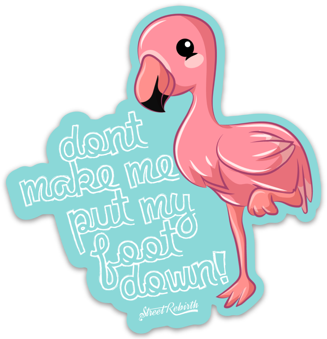 Dont Make Me Put My Foot Down! PUN STICKER – ONE 4 INCH WATER PROOF VINYL STICKER – FOR HYDRO FLASK, SKATEBOARD, LAPTOP, PLANNER, CAR, COLLECTING, GIFTING
